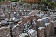 DSCF7513_R