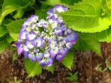 DSCF2324_R
