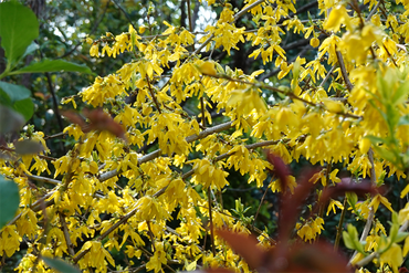 DSC06385_R