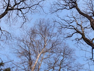 DSCF4280_R