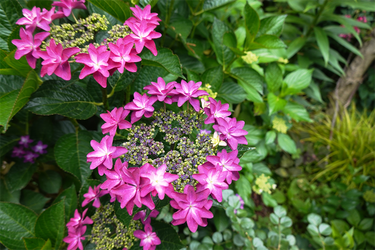 DSC08114_R
