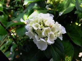 DSCF0319_R