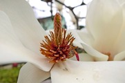 DSCF1620_R