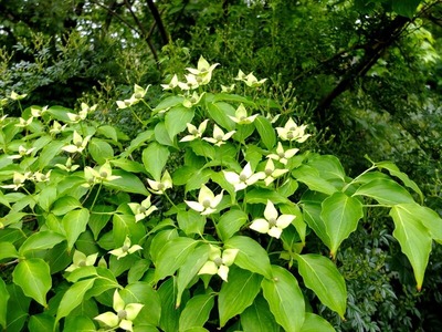 DSCF2691_R