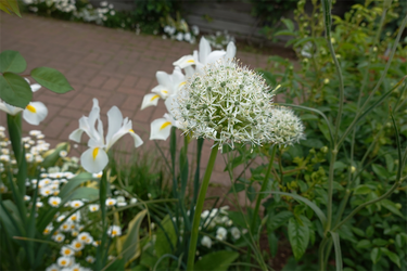 DSC06914_R
