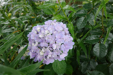 DSC08030_R