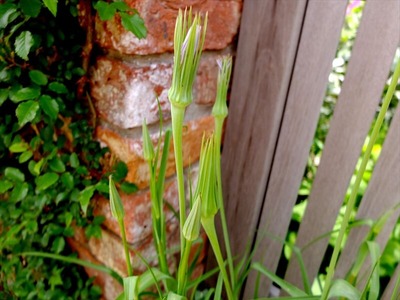 DSCF2842_R