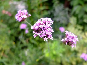 DSCF1564_R