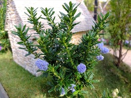 DSCF7573_R