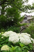 DSCF3044_R