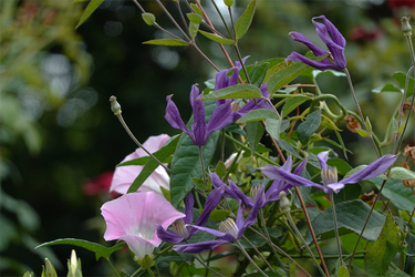 DSC08947_R