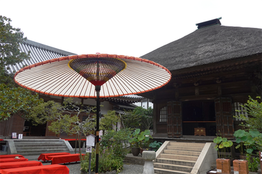 DSC09096 (1)_R