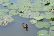 DSCF5490_R