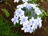 DSCF2499_R