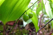 DSCF5843_R
