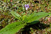 DSCF2057_R