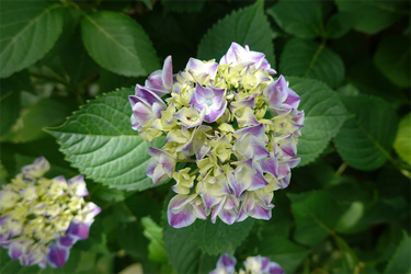 DSC08068_R