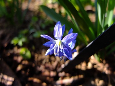 DSCF4540_R