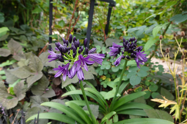 DSC08213_R