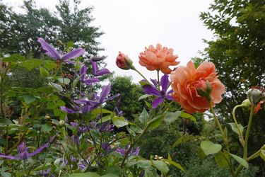DSC08918_R