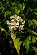 DSCF9072_R