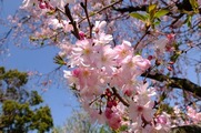 DSCF1949_R