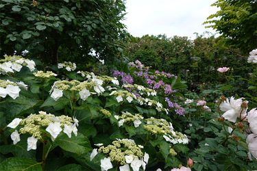 DSC08048_R