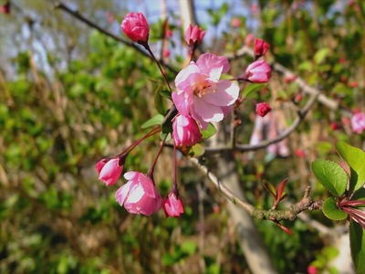DSCF4907_R