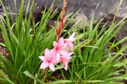 DSCF0097_R