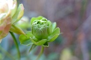 DSCF8452_R