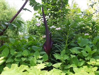 DSCF9648_R