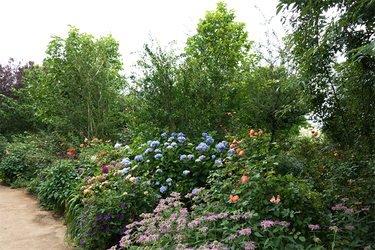 DSC02522_R