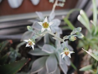 DSCF9432_R