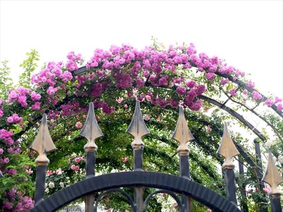 DSCF3243_R