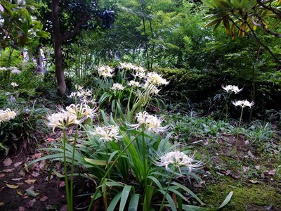 DSCF5602_R