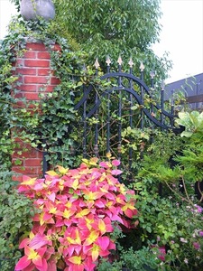 DSCF5515_R