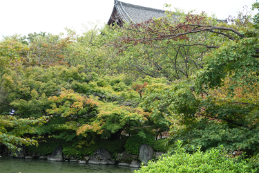 DSC09678_R