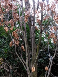 DSCF3957_R