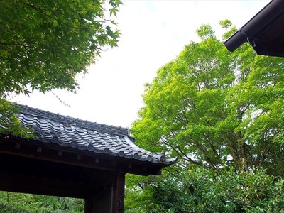 DSCF4071_R