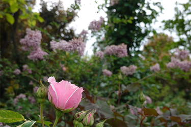 DSC06860_R