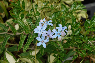 DSC08063_R