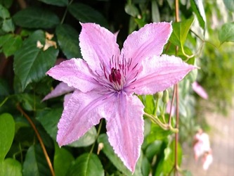 DSCF8212_R