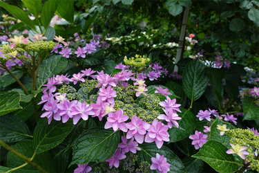 DSC08045_R