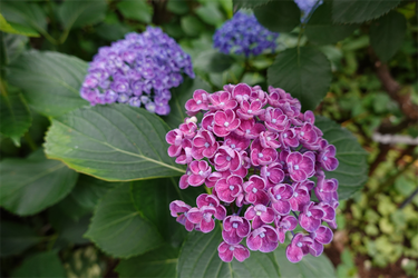 DSC02970_R