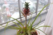 DSCF3586_R