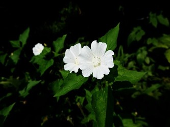DSC01281_R