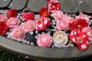 DSCF0883_R