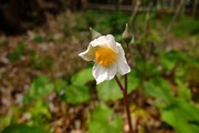 DSCF0561_R
