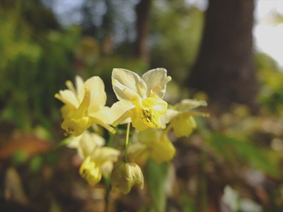 DSCF1633_R