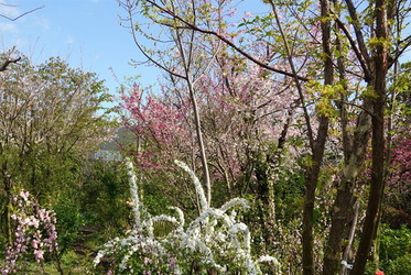 DSC06425_R (1)